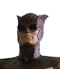 niteowl00.jpg
