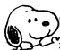 peanuts_gangtt.jpg