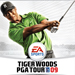 tigerwoods09coverlogo_summarysize.jpg