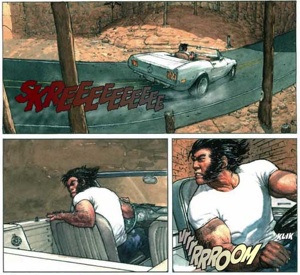 wolverineswitchback2.jpg