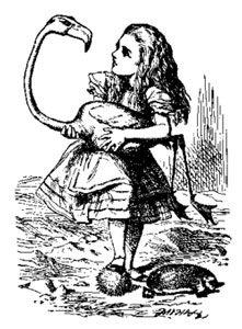 Alice-and-Flamingo.jpg