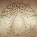 Animus-Logo-Screencap_summarysize.jpg