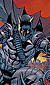 battle_for_cowl_3_cover_small.jpg