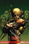 darkwolverine75t.jpg
