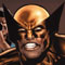 darkwolverine78t.jpg