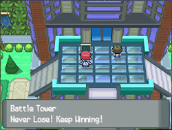 pokemonplatinum-i_17763-250px.jpg