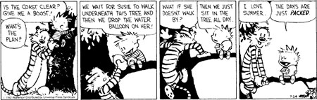 Calvin-Summer-days-are-just-Packed.jpg