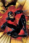 nightwing001_thumb_1.jpg