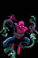 b7_320424_2_TheAmazingSpiderManVol2699_1.jpg