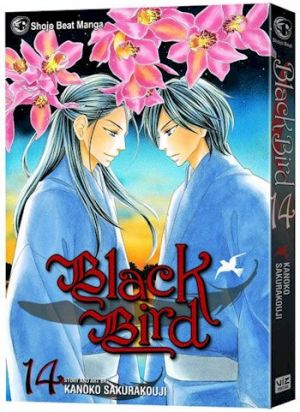 blackbird14.jpg blackbird14.jpg