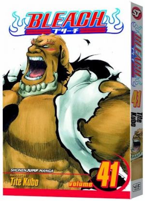 bleach41.jpg bleach41.jpg