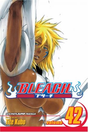 bleach42.jpg