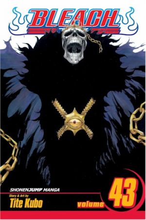 bleach43.jpg bleach43.jpg