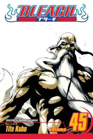 bleach45.jpg bleach45.jpg