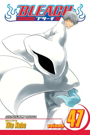 bleach47.jpg bleach47.jpg