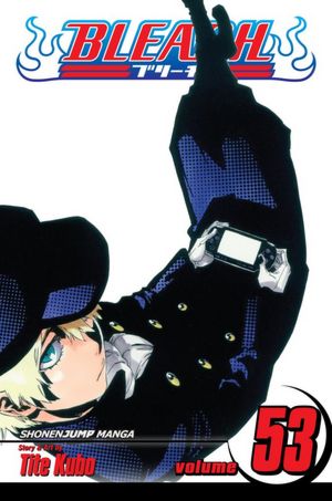 bleach53.jpg bleach53.jpg
