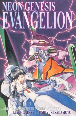 neongenesisevangelion3in101.jpg