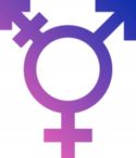 transgender_symbol_1.jpg