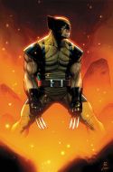 wolverine_4_305_1.jpg