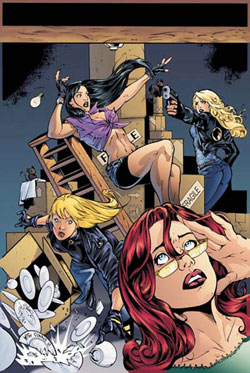 birdsofprey86.jpg