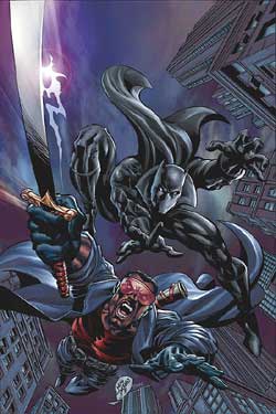 blackpanther12.jpg