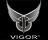 Vigor_Logo_small.JPG