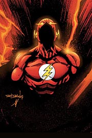 flash_1.jpg