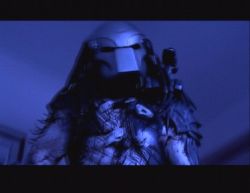 predator.jpg
