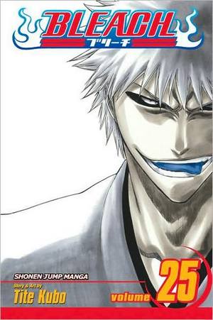 bleach25.jpg