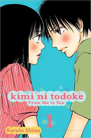 kiminitodoke01.jpg