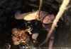 walkingdeadseason2ep4.3_thumb_1.jpg